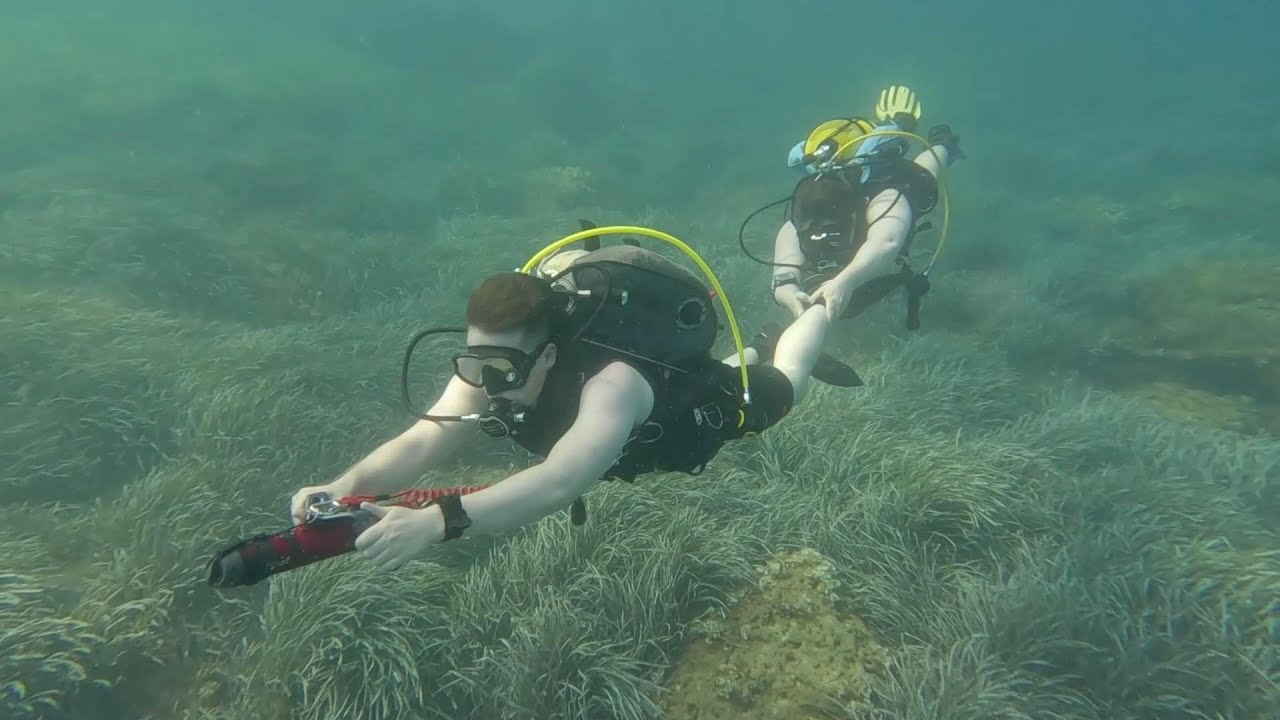 2025   #41   Dive 346   Malta   Tug Boat II   Exiles Bay   11 08 25