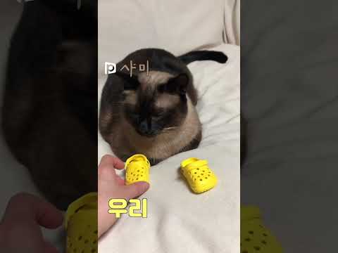 이거 신어야 끝나는거져? 엄마????싫은데...음...