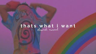 lil nas x - thats what i want (slowed   reverb)