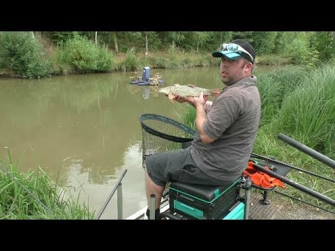 frenzee fishing tackle