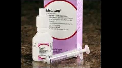 Metacam Advertisement