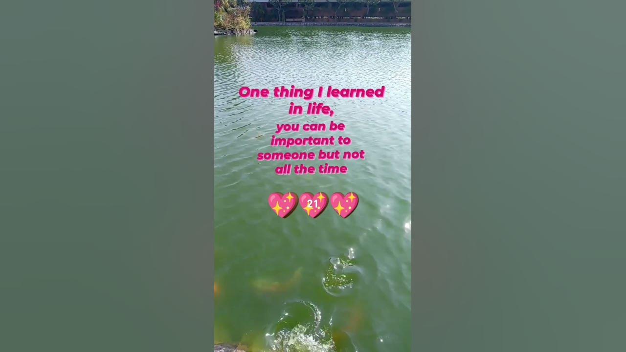 one-thing-i-learned-in-life-you-can-be-important-to-someone-but-not