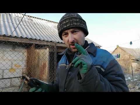 Видео: сварка чугуна слабым аппаратом (электродом)
