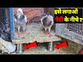 इसे लगाओ पेटी के नीचे ?