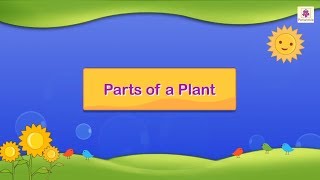 Parts of a Plant | Science For Grade 3 Kids | #4