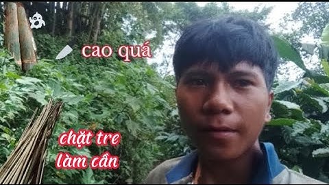 #1 cách chọn tre đúng, làm cần câu cắm cá lóc đơn giản | Make a fishing rod to hold fish - Quen vlog