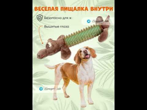 Видеообложка карточки товара на Вайлдберриз, Озон, Яндекс Маркет ...