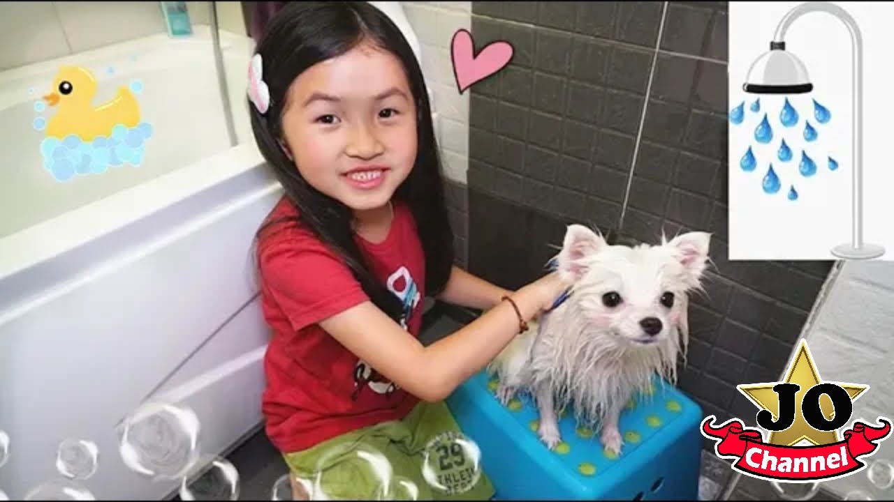 第一次幫狗狗小花洗澡（日常）Joyann能順利完成嗎？Joyann Bath A Puppy At Home By Jo Vlog 縮圖