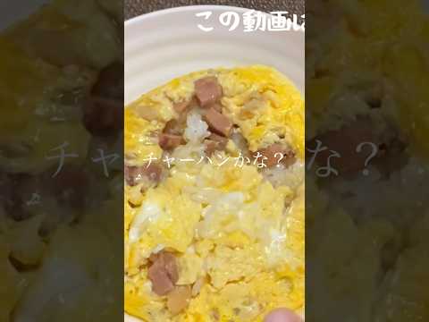 食中毒は怖いから焼き鳥缶詰で親子丼作ってみたら簡単すぎた#簡単レシピ #親子丼 #底辺飯