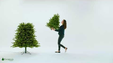 Evergreen Classics® Artificial Christmas Tree with Quick Set®