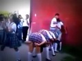 Copy of New wrong number Film 2016 Whatsapp Status Video Download Free