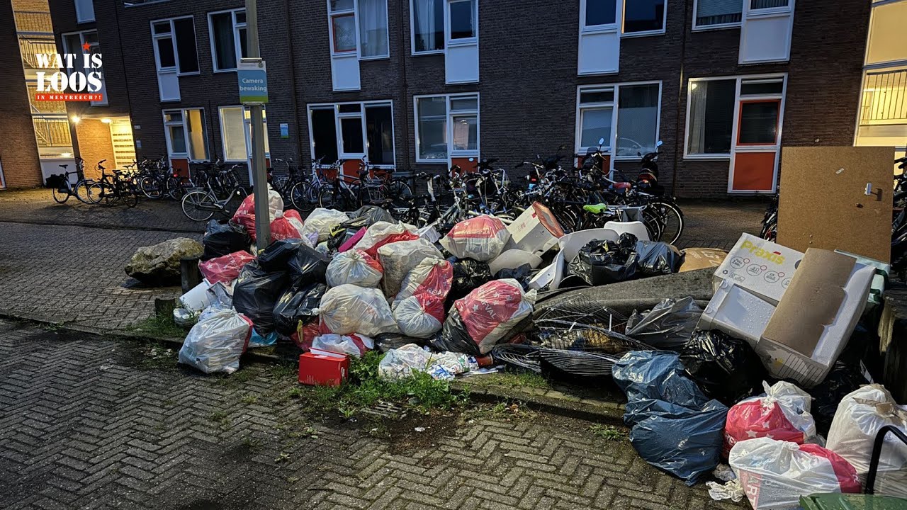 STANKOVERLAST EN ONGEDIERTE DOOR ZWERFAFVAL CRUYSHAAG