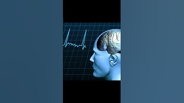 Your Brain: The Ultimate Supercomputer!