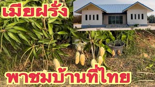 เมียฝรั่งพาชมบ้านที่ไทยปลูกอะไรบ้าง#ชีวิตในต่างแดน