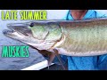 LATE SUMMER Northern Wisconsin Musky Fishing!!