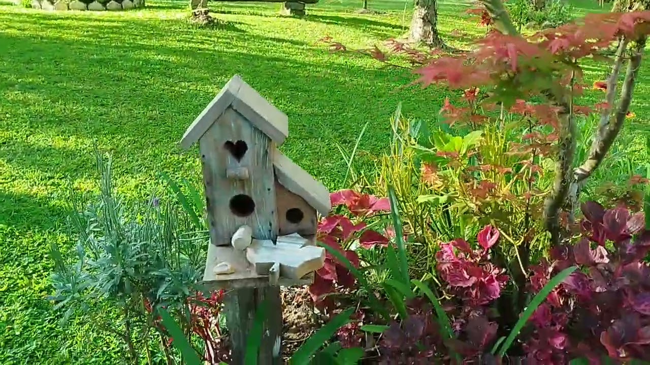 Caminhada manhã de Primavera 🌿🌷🌱🌳☀️🪻