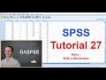 SPSS 27 Ratio Function With A Moderator SPSS 27 Ratio Function With A Moderator