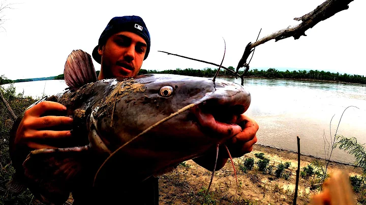 47 LB Blue Catfish Puts Up Intense Fight