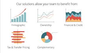 Tax and Transfer Pricing I Managing Risk of Tax and Transfer Pricing I Explainer Video