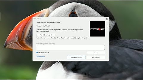 The Last of Us Part II "Something went wrong with this game... Report problem " 100% Fix Latest PC