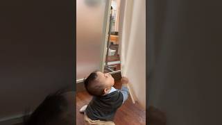 カーテン遊びに夢中の生後9ヶ月 #baby #赤ちゃん #ちゃっぴん動画 #生後9ヶ月 #カーテン