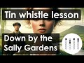 Learn 'Down by the Sally Gardens' on Tin Whistle – Easy Irish Tune with Tabs