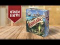 МАРАКАЙБО: Настольная игра про мореплавателей! | Играем!