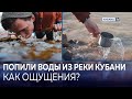 Живая мертвая вода. Река Кубань