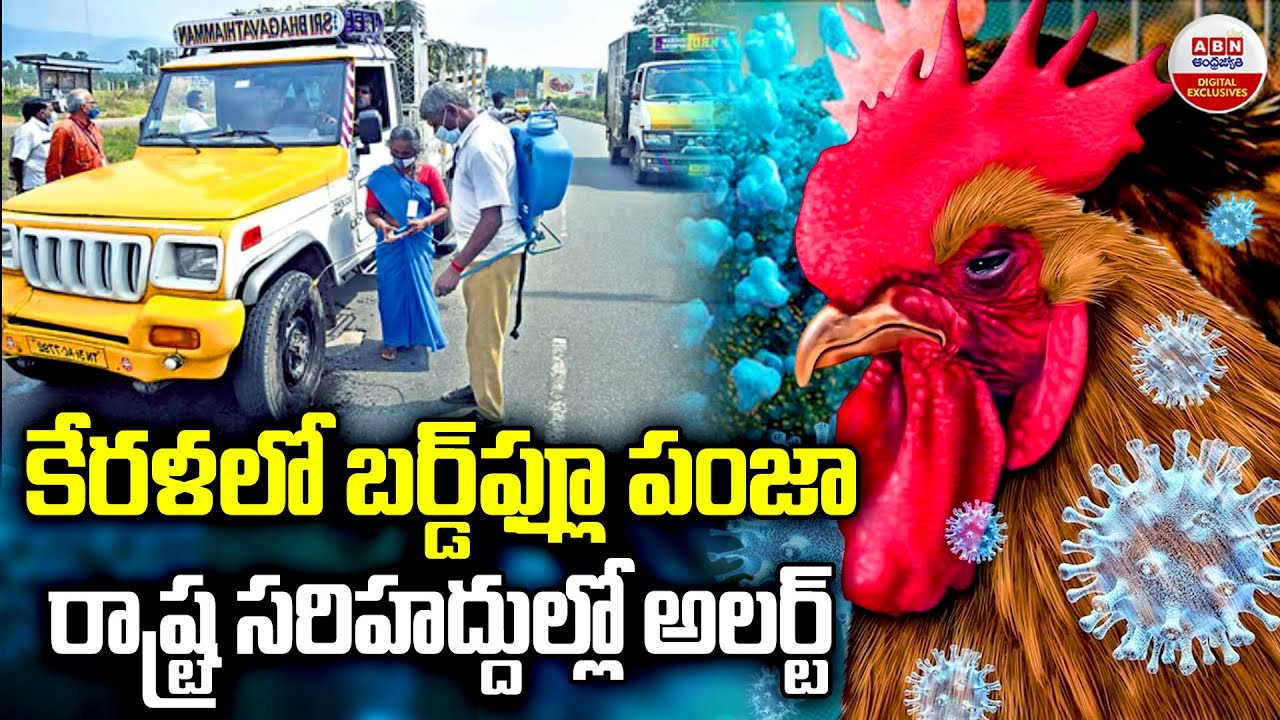 Kerala Bird flu కేరళలో బర్డ్‌ఫ్లూ పంజా రాష్ట్ర సరిహద్దుల్లో అలర్ట్