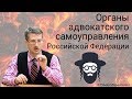 Органы адвокатского самоуправления Российской Федерации