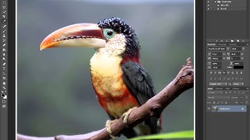 Photoshop - Add Border to Image (White Border or Any Other Color)