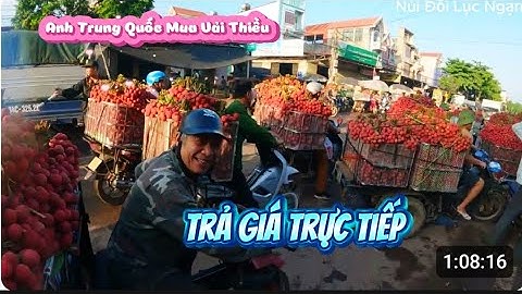 CHOÁNG VỚI TỐC ĐỘ MUA VẢI THIỀU LỤC NGẠN CỦA MẤY A TUNG CỦA I NÚI ĐỒI LỤC NGẠN