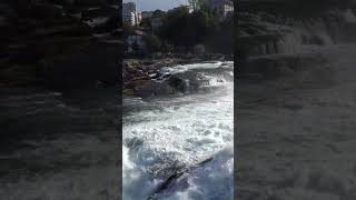 Rhine Falls #shorts