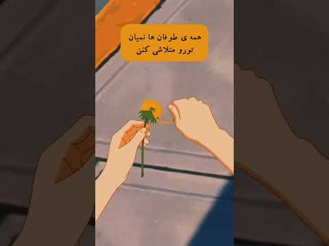 شاید بتوان از هجوم سیل آسای یک ارتش ممانعت کرد اما از هجوم اندیشه و باورها نمیتوان جلوگیری نمود