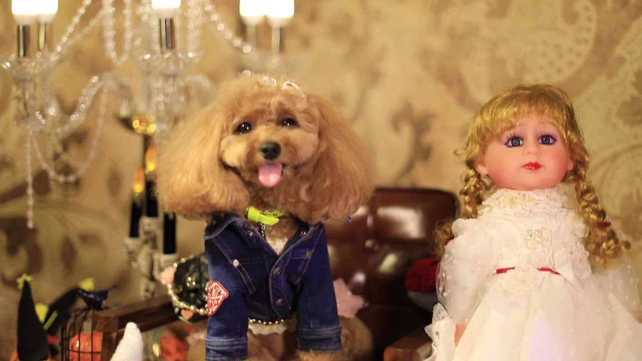 Halloween Day 5 @ Connie Yau