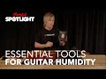 Essential Tools for Guitar Humidity | with D'Addario