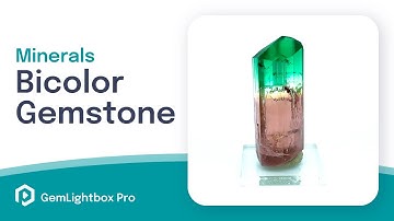 Bicolor Tourmaline | Minerals Taken With GemLightbox Pro