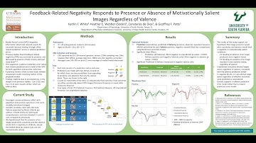 CNS 2021: Video for Poster E22