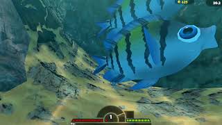 Sergeant Major Old - Ocean Hard Feed And Grow Fish