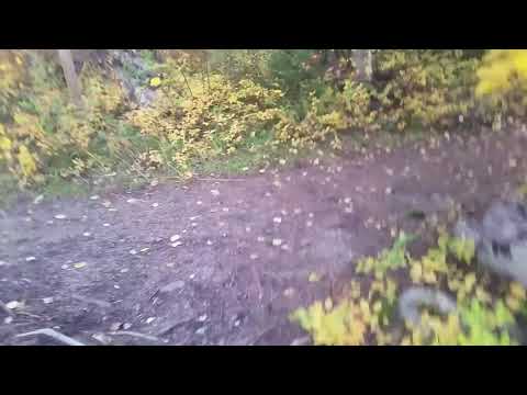 Exploring MacKenzie BC Canada during off work time October 1st 2017(3)