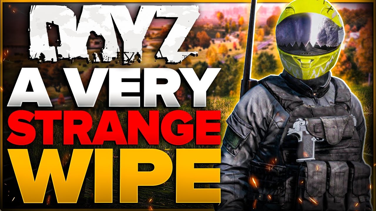 A Very STRANGE Wipe on DayZ YouTube