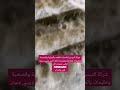 شركة نظافة في مصر | خدمات تنظيف احترافية، بيبي سيتر، وتمريض منزلي بأسعار مميزة#مصر #اكسبلور