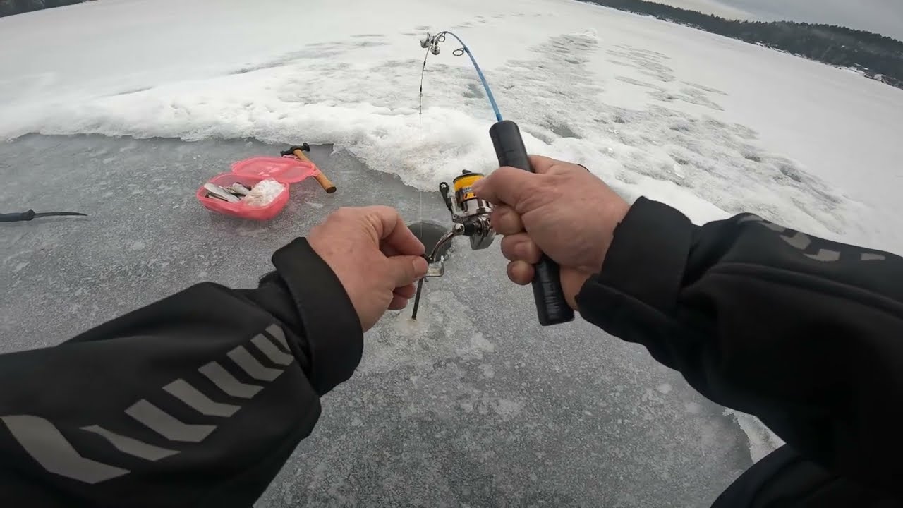 Paskutinė žvejyba ant ledo su Saulium 2026#norvegija #fishing #zvejyba