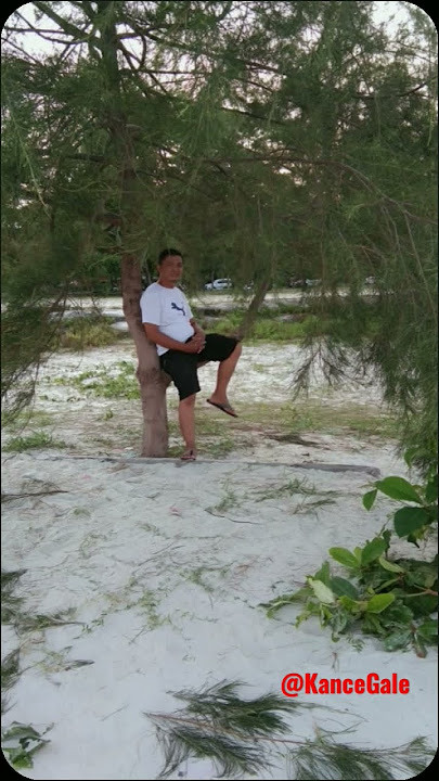 Fauzana - Kawan Saiyo #shortvideos