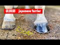 競馬・乗馬の装蹄師　目線カメラ ～馬の靴屋さん～ - Horseshoeing  horse hoof trimming(装蹄師 - Japanese Farrier/Blacksmith)  削蹄