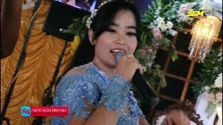 FULL ALBUM AREVA HORE || Angel 2, Satru 2 || Live Brujul