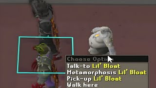 Easily The Best Pet in the Game