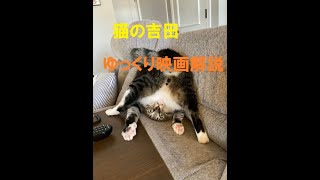 猫の吉田 吉田モーターズ111 映画解説ハーミデーター Yoshida Motors of cats 111