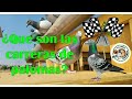 carreras de palomas, #colombofilia #palomasmensajeras #pigeons #palomar #palomos #carreras