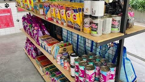 Ritdo - SPA cắt tỉa lông cho thú cưng, Đào tạo học viên cắt tỉa lông tại Đà Nẵng.